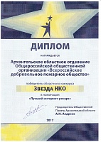 ЗвездаНКО2